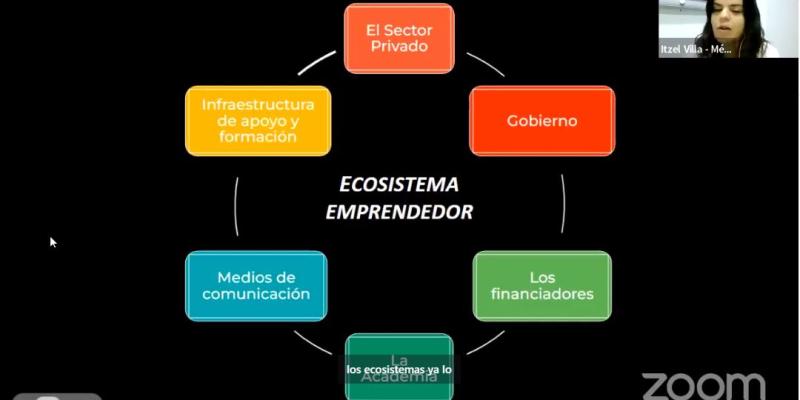 webinar