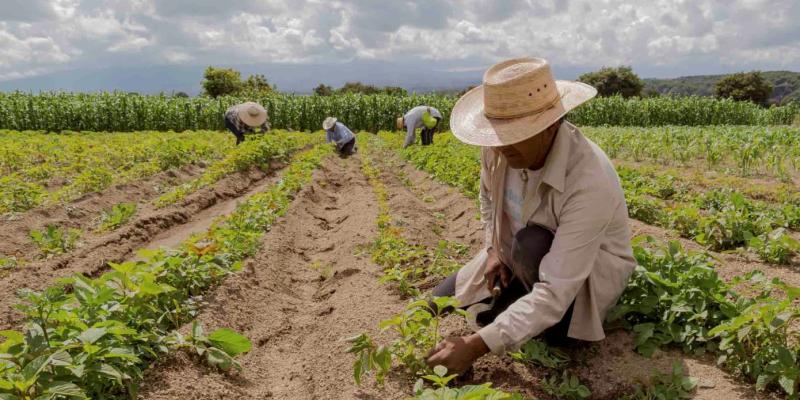 MINFIN cumple con traslado de recursos para pago de veteranos de guerra