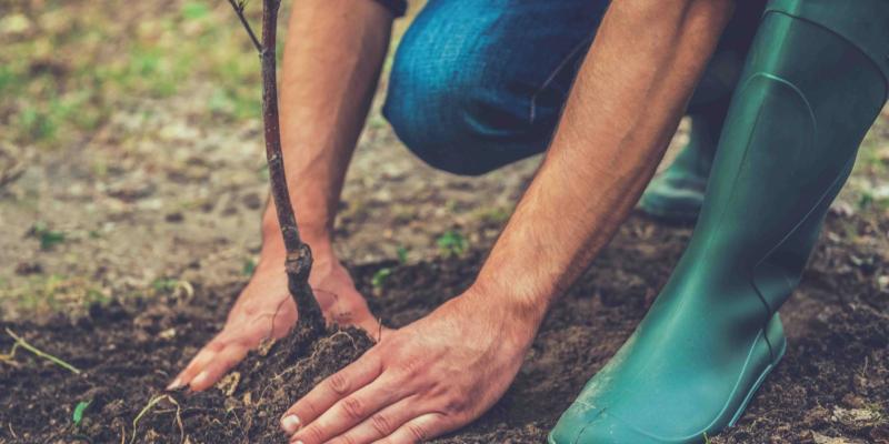 Minfin realiza séptimo desembolso en programa de incentivos forestales