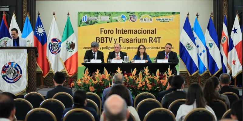 Guatemala fortalece capacidades para enfrentar la amenaza del Fusarium R4T