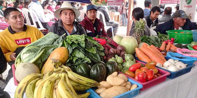 Impulsan alianzas estratégicas entre productores agrícolas locales y OPF