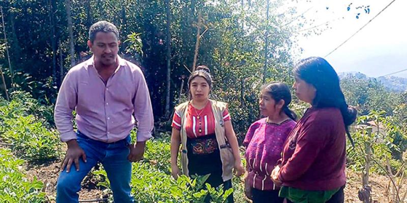 Reciben insumos y asistencia técnica para mejorar producción de papa