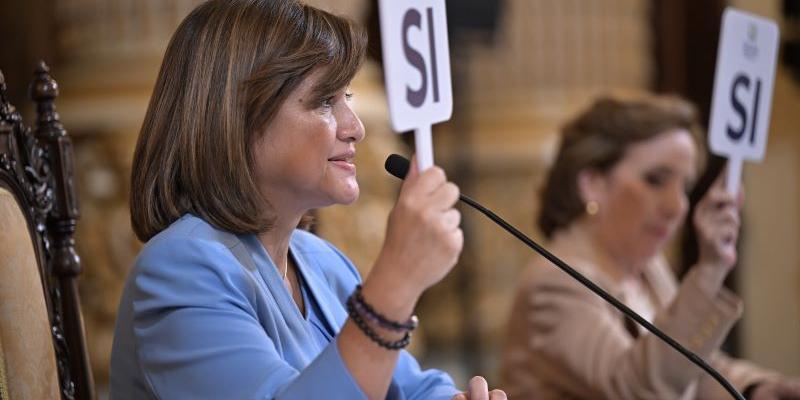 Karin Herrera, Presidenta en Funciones