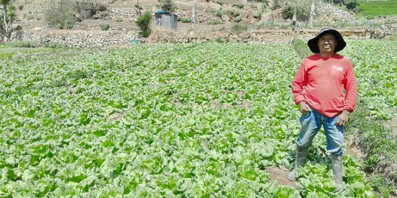 Agricultores de Almolonga, Chimaltenango, reciben insumos para establecer parcelas de aprendizaje