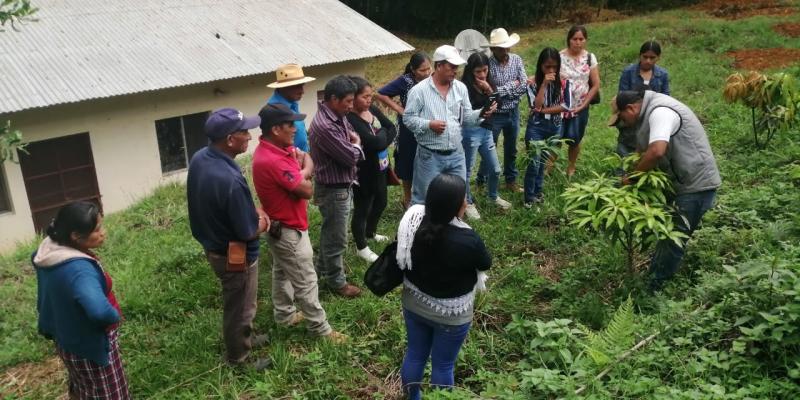 Aprenden procesos de conservación de suelos