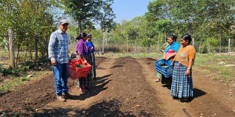 Impulsan creación de huertos en Petén