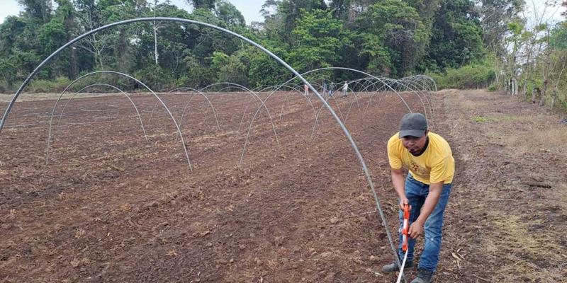 Construyen macrotúneles para siembra de hortalizas en Petén