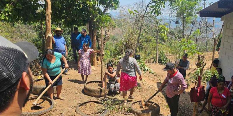 Huertos medicinales y familiares florecen en Zacapa