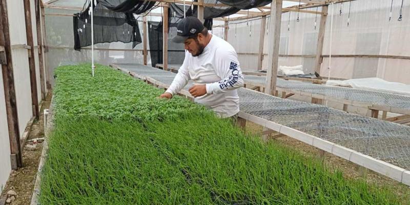 Mejoran calidad de pilones en Petén