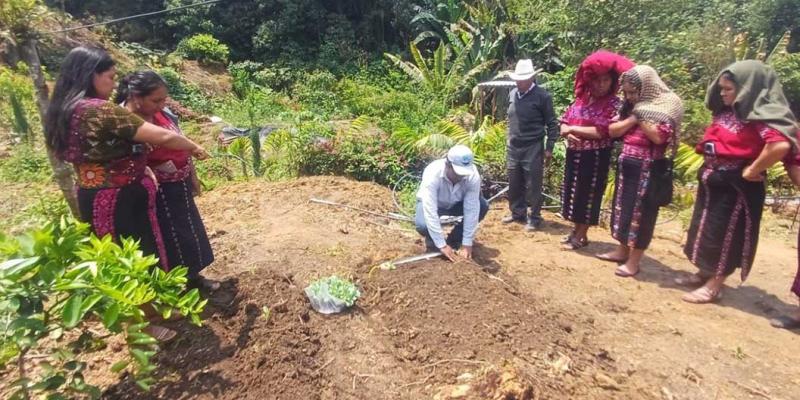 Mujeres de Huehuetenango capacitadas en huertos familiares