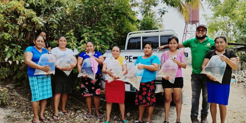 Cultivo de tilapia permite autosuficiencia alimentaria