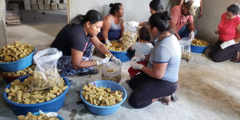 Fomentando nuevos y emprendimientos en Santa Ana Huista