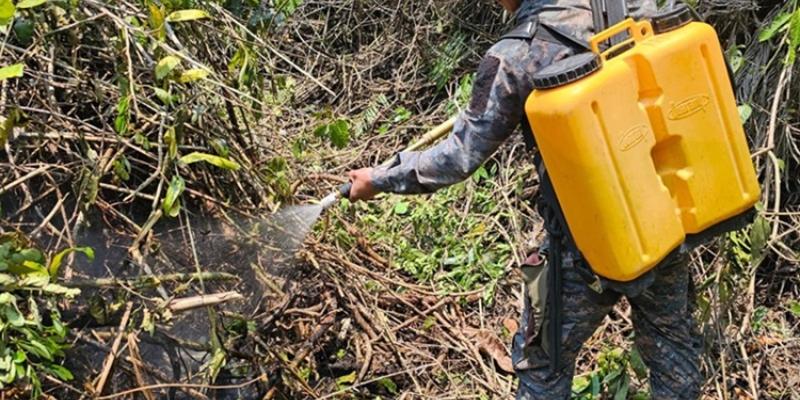 Ejército de Guatemala continúa las labores de supresión de incendios forestales.