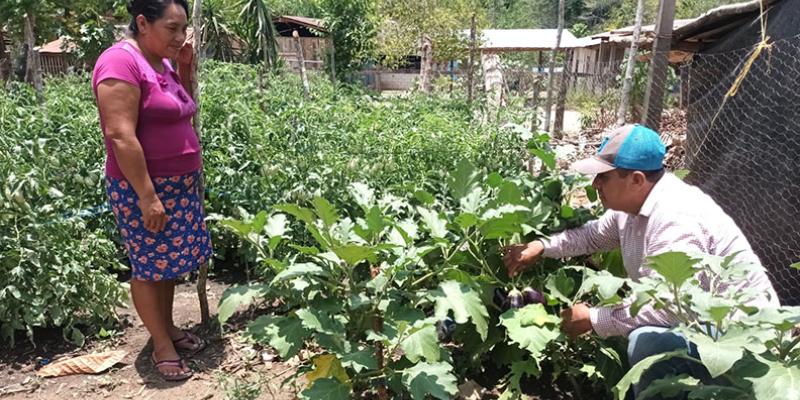 Huertos Familiares promueven el desarrollo en Petén