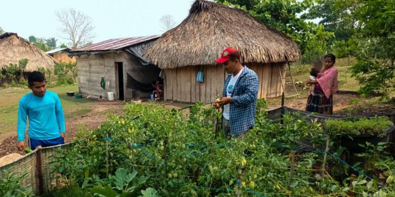 Implementan control de plagas en huertos