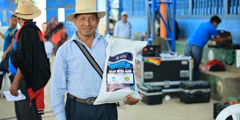 Impulsan la seguridad alimentaria con semillas mejoradas