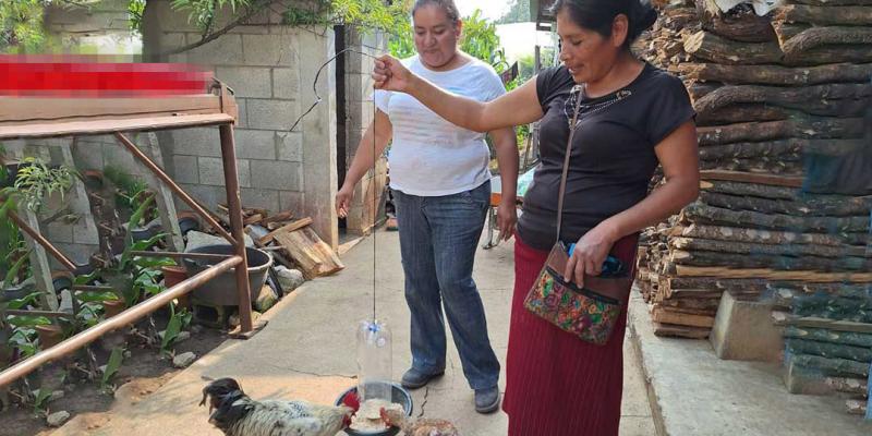 Vecinas de Quiché aprenden buenas prácticas para la crianza de aves de traspatio