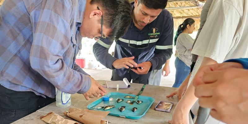 Velan por la pesca y acuicultura sostenible en el lago de Amatitlán