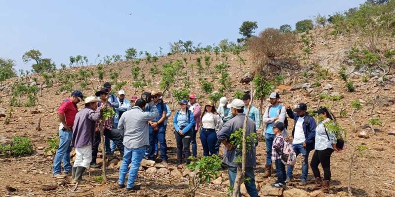 Zacapa: velan por el bienestar de los huertos familiares y la salud del suelo