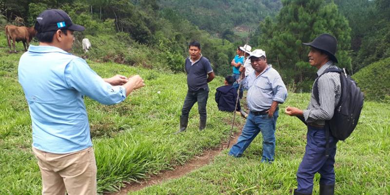 Brindan capacitación e insumos a ganaderos de Alta Verapaz
