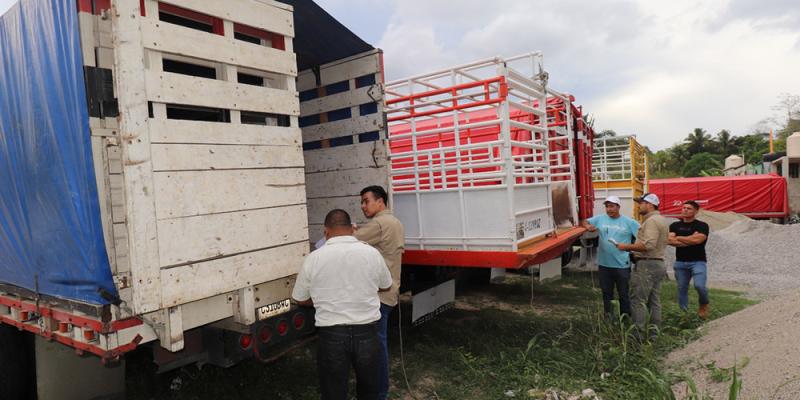 Inicia jornada de emisión de licencias de transporte en Petén