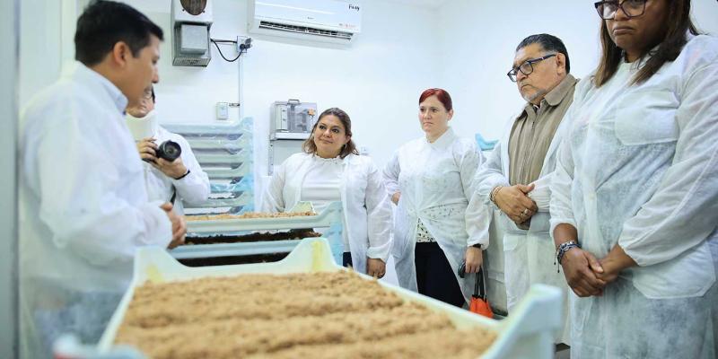 Trabajo conjunto para erradicar la mosca del Mediterráneo