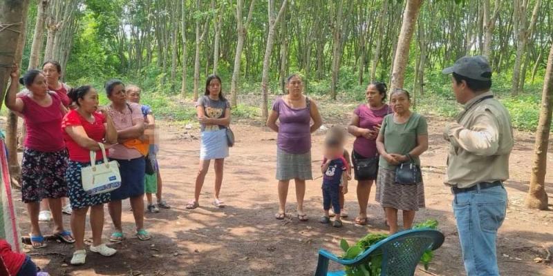 Promueven bancos de semilla y huertos pedagógicos en Suchitepéquez