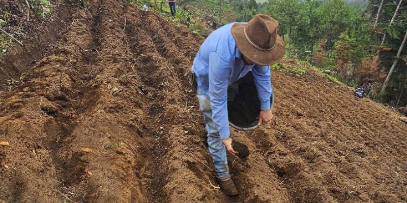 Capacitan acerca del manejo agronómico del cultivo de papa