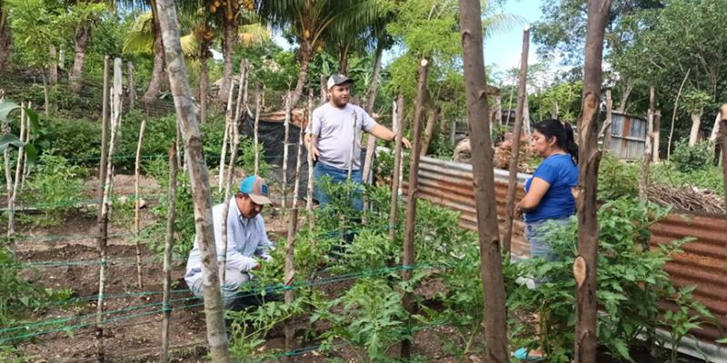 Continúa la entrega de pilones e instalación de parcelas demostrativas en Petén