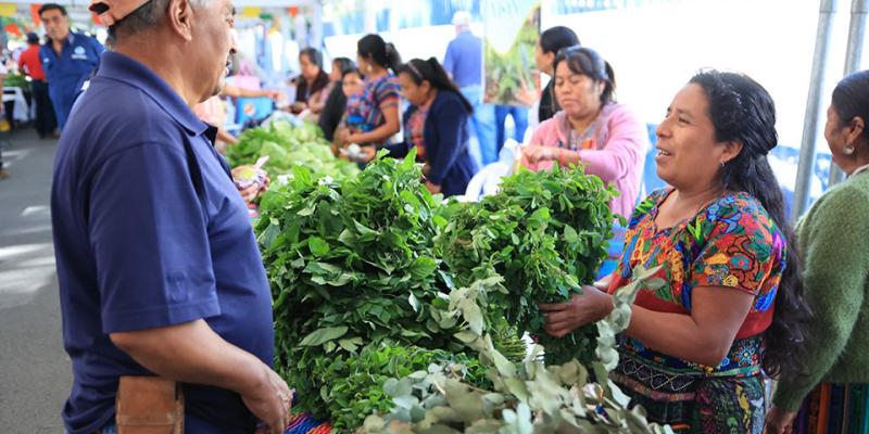 Feria del Agricultor lleva a los departamentos productos frescos a precios accesibles