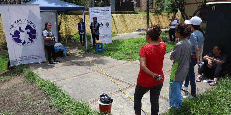 Jornada de vacunación a felinos en zona 21 capitalina