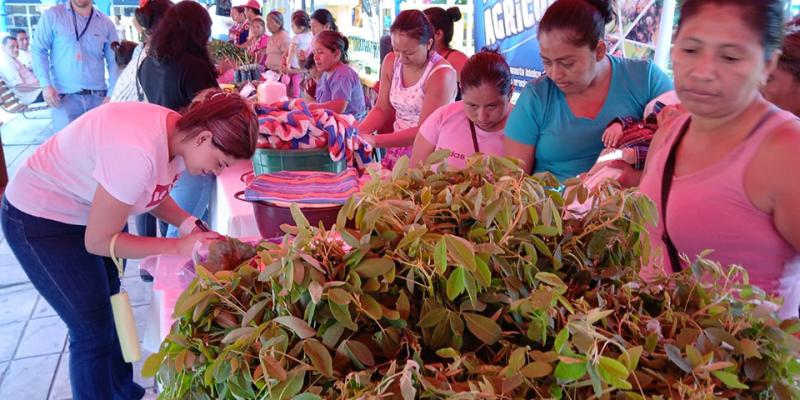 Patulul celebra Feria del Agricultor
