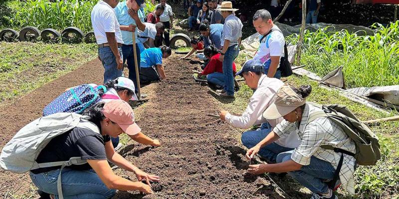 Promueven educación alimentaria con Huertos Escolares