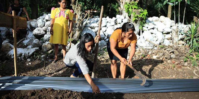 Agradecen apoyo al programa Pro-Resiliencia