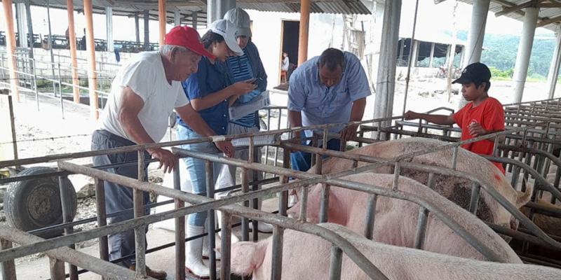Brindan asistencia técnica en Melchor de Mencos