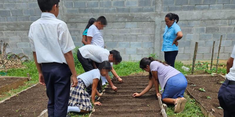 Brindan asistencia técnica para huertos escolares en San Francisco, Petén
