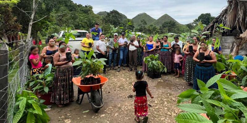 Se entregaron 700 plántulas de Cacao en Poptún