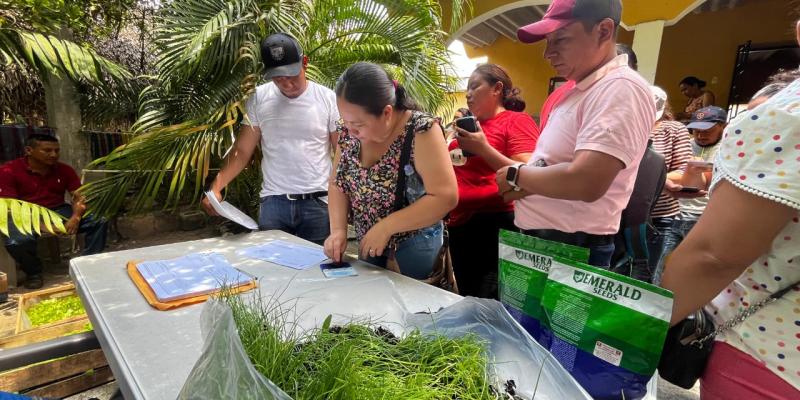 Centros educativos de El Progreso reciben pilones de hortalizas para huertos