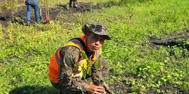 Ejército de Guatemala alcanza un 79% de su meta proyectada de reforestación.