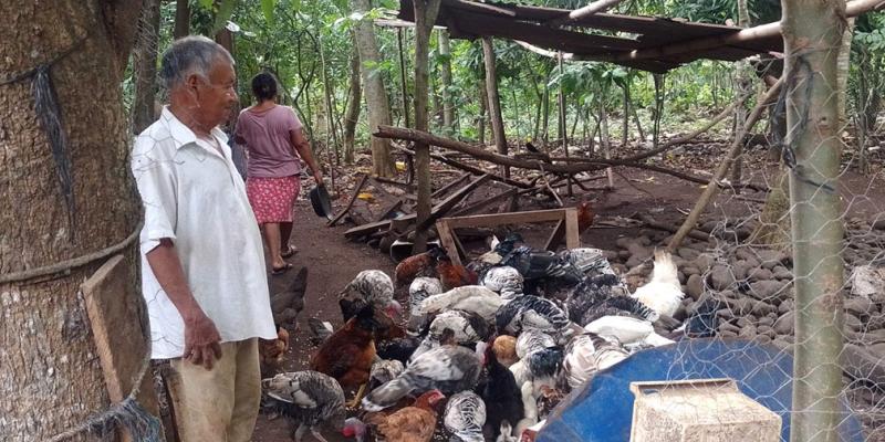 Verifican proyectos comunitarios elegibles para Alimentos por Acciones