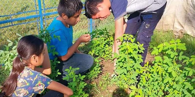 Supervisan recolecta de primera cosecha de huerto escolar en aldea Esquipulas Nica