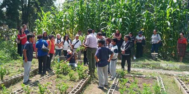 En Mixco y Guatemala fortalecen la educación en agricultura urbana