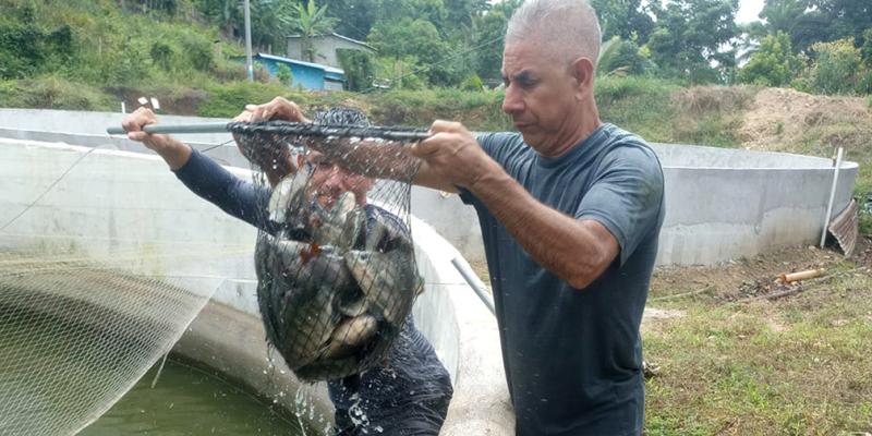 Proyectos acuícolas de Petén reciben asistencia técnica 