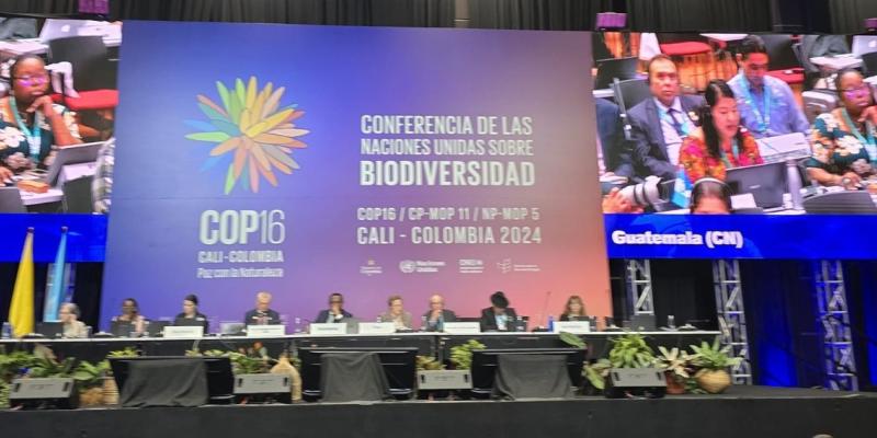 CONAP Guatemala