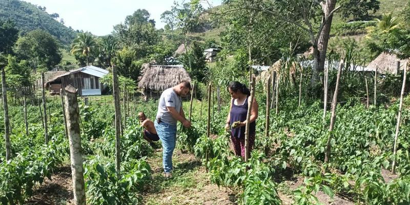 Brindan apoyo técnico en la Zona de Adyacencia