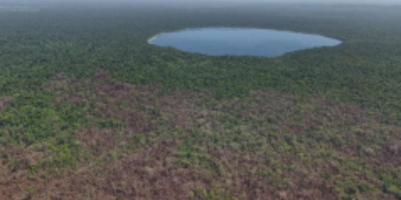 incendios forestales