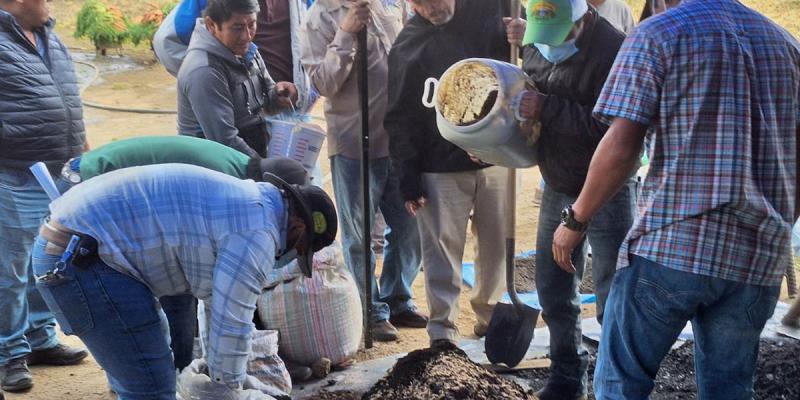 Productores concluyen diplomado de fortalecimiento de la cadena de cultivo de la papa