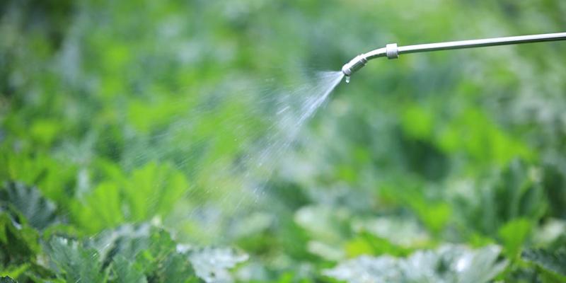 Qué son los insecticidas naturales