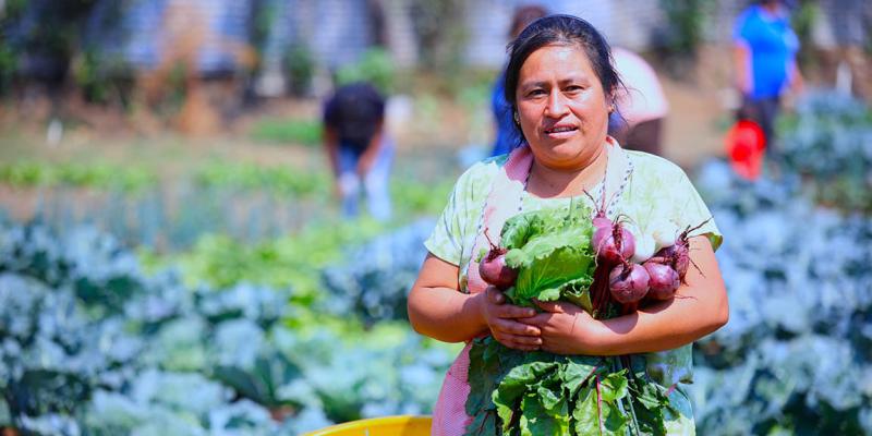 Agricultura sensible a la nutrición