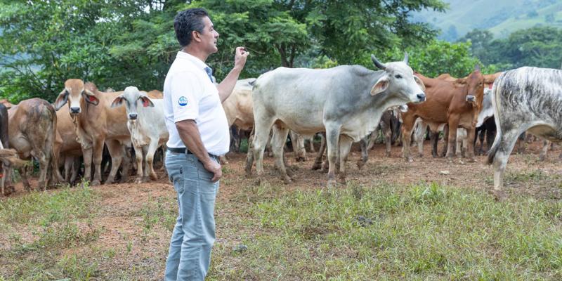 Más de 17 mil animales inspeccionados en puestos de control por el Gusano Barrenador del Ganado